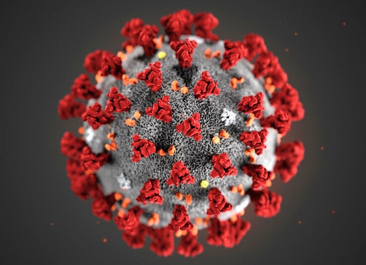 coronavirus Sanificazione Coronavirus lecce
